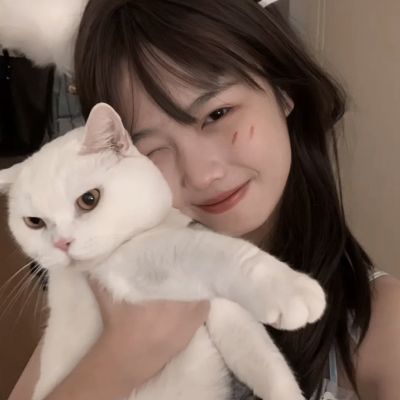 汤头条极速版 — 轻量省流量刷视频更顺滑